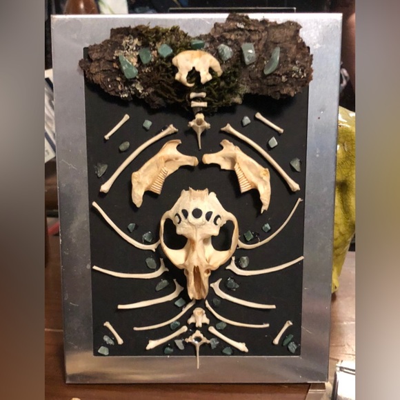 Muskrat Bone Art - Picture 2 of 2